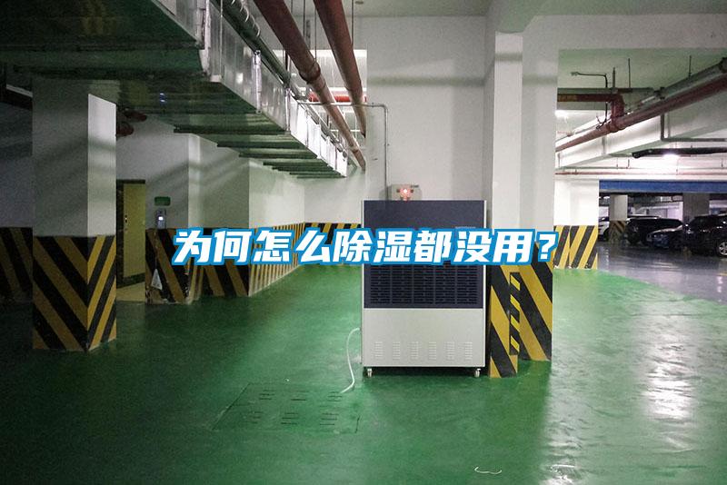 為何怎么除濕都沒用？
