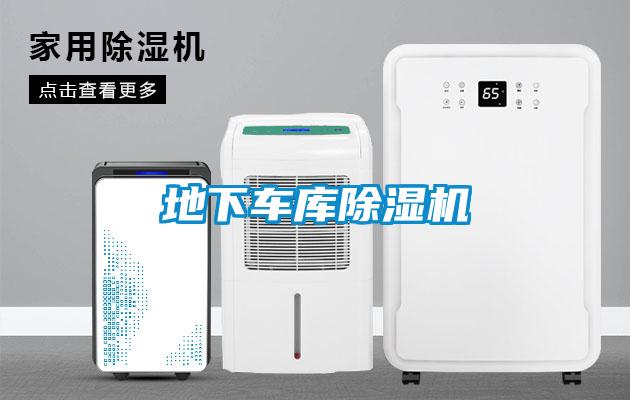 地下車(chē)庫(kù)除濕機(jī)