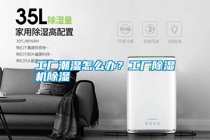 工廠潮濕怎么辦？工廠除濕機除濕