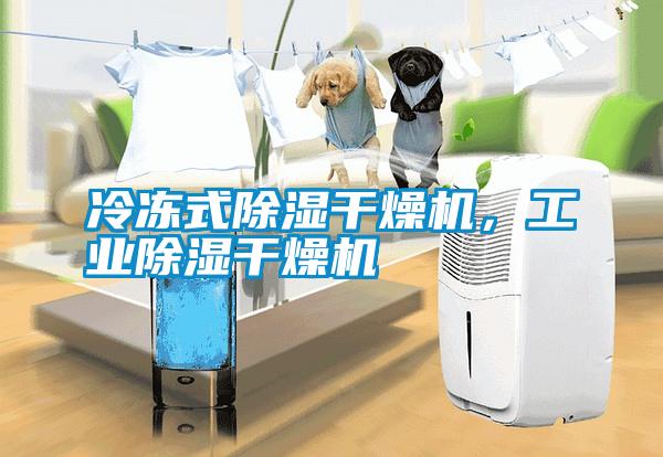 冷凍式除濕干燥機(jī)，工業(yè)除濕干燥機(jī)