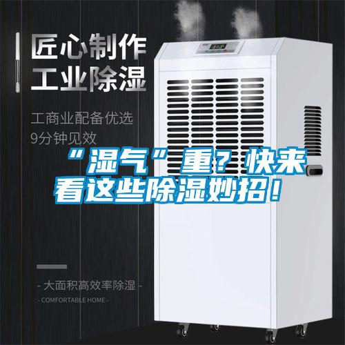 “濕氣”重？快來(lái)看這些除濕妙招！