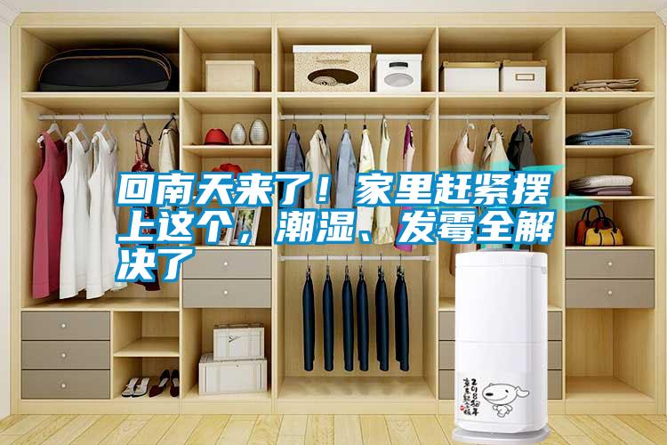 回南天來了！家里趕緊擺上這個(gè)，潮濕、發(fā)霉全解決了