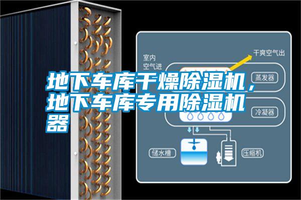 地下車(chē)庫(kù)干燥除濕機(jī)，地下車(chē)庫(kù)專用除濕機(jī)器