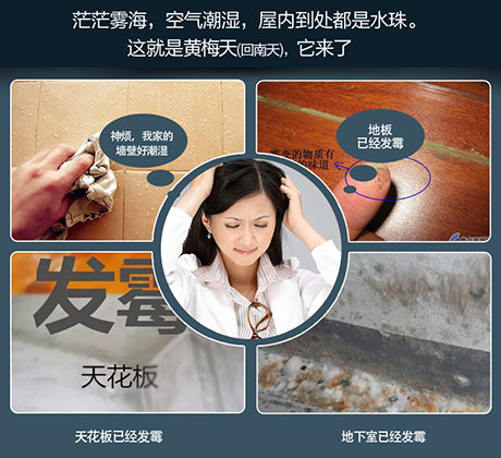 家庭別墅的地下室、衛(wèi)生間、儲(chǔ)物室等該如何除濕？