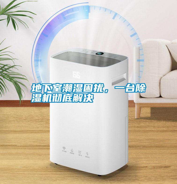地下室潮濕困擾，一臺除濕機(jī)徹底解決