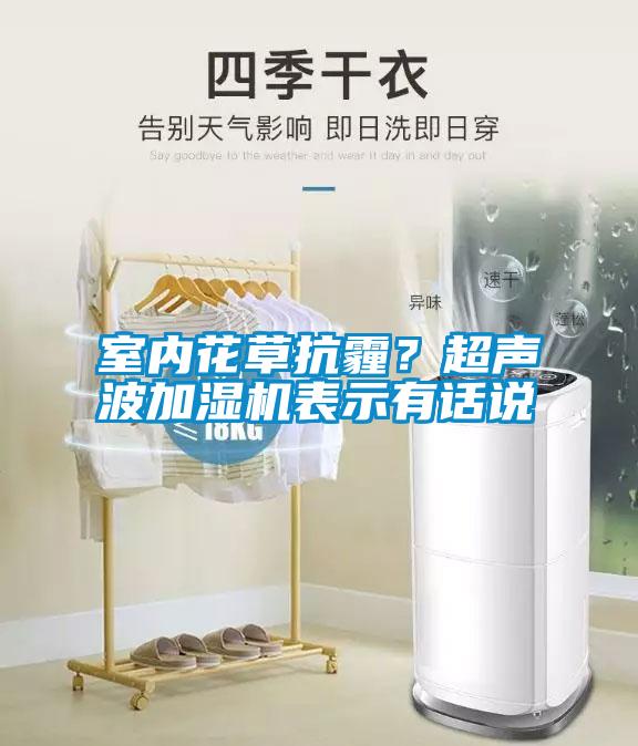 室內(nèi)花草抗霾？超聲波加濕機表示有話說