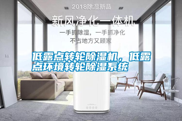 低露點轉(zhuǎn)輪除濕機，低露點環(huán)境轉(zhuǎn)輪除濕系統(tǒng)