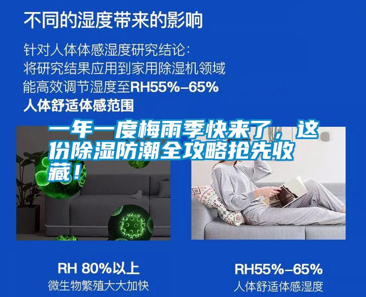 一年一度梅雨季快來了，這份除濕防潮全攻略搶先收藏！