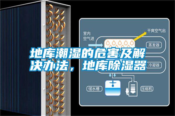 地庫潮濕的危害及解決辦法，地庫除濕器