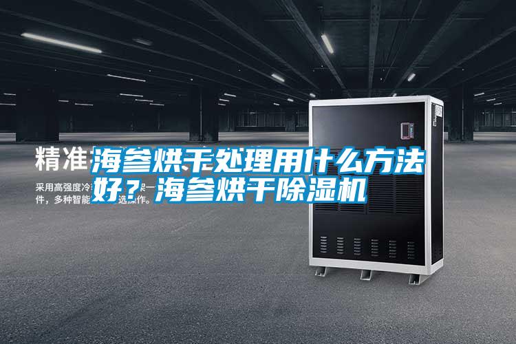 海參烘干處理用什么方法好？海參烘干除濕機(jī)