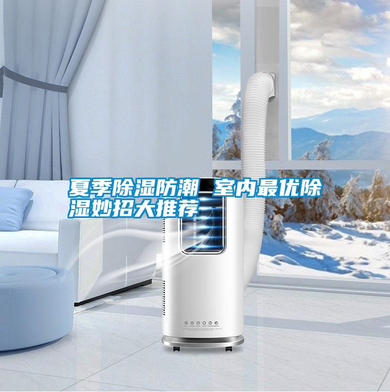 夏季除濕防潮 室內最優(yōu)除濕妙招大推薦
