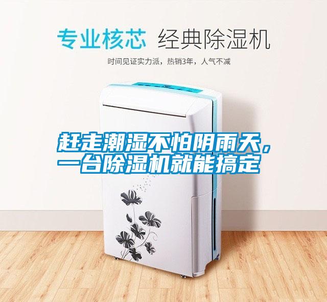 趕走潮濕不怕陰雨天，一臺除濕機就能搞定