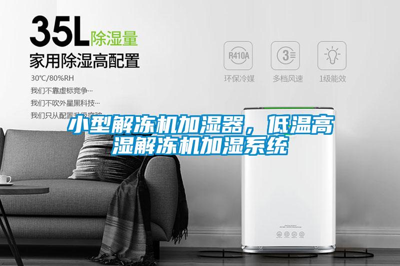 小型解凍機(jī)加濕器，低溫高濕解凍機(jī)加濕系統(tǒng)