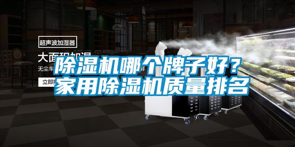 除濕機(jī)哪個(gè)牌子好？家用除濕機(jī)質(zhì)量排名