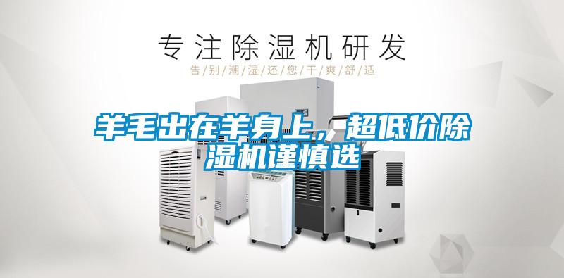 羊毛出在羊身上，超低價(jià)除濕機(jī)謹(jǐn)慎選