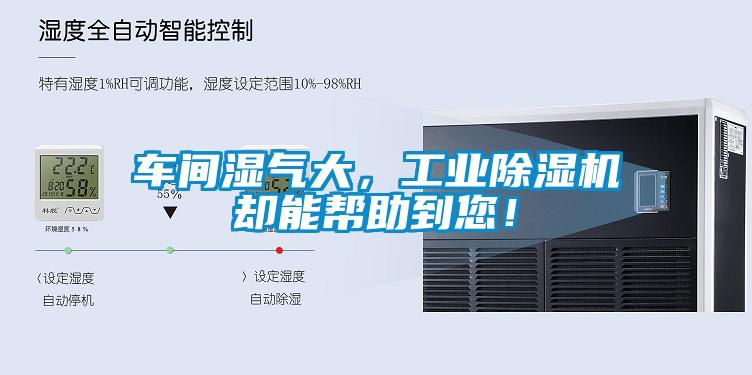 車間濕氣大，工業(yè)除濕機卻能幫助到您！