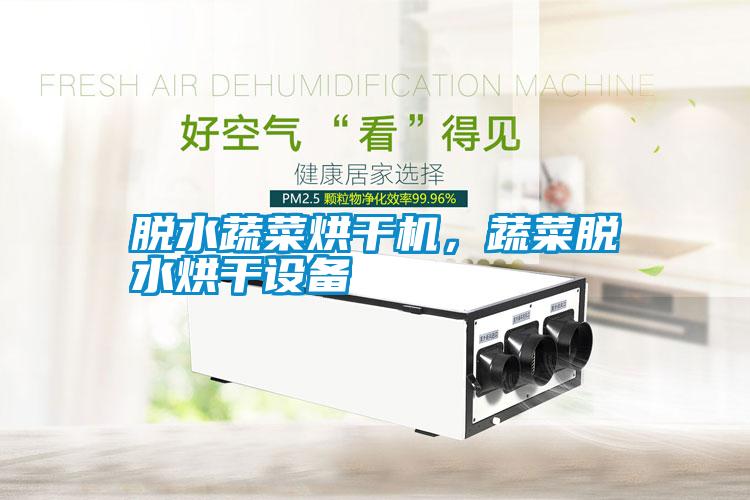 脫水蔬菜烘干機，蔬菜脫水烘干設(shè)備