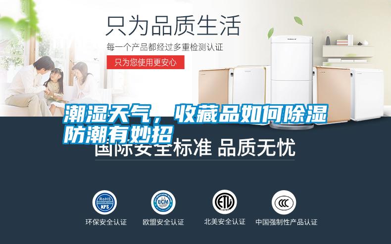 潮濕天氣，收藏品如何除濕防潮有妙招