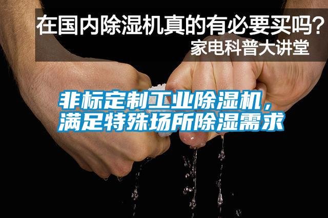 非標(biāo)定制工業(yè)除濕機(jī)，滿足特殊場(chǎng)所除濕需求