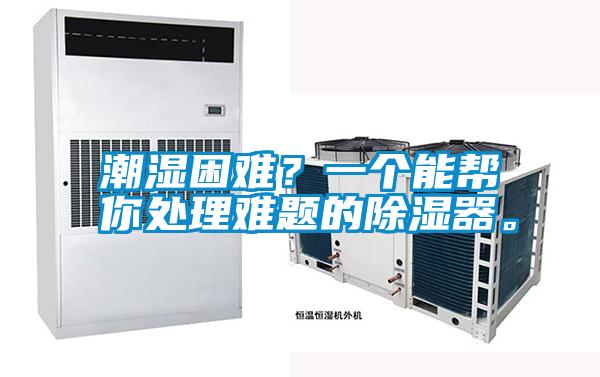 潮濕困難？一個(gè)能幫你處理難題的除濕器。