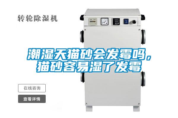 潮濕天貓砂會(huì)發(fā)霉嗎，貓砂容易濕了發(fā)霉