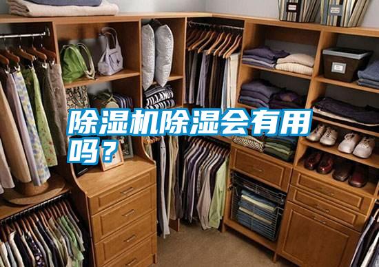 除濕機除濕會有用嗎？