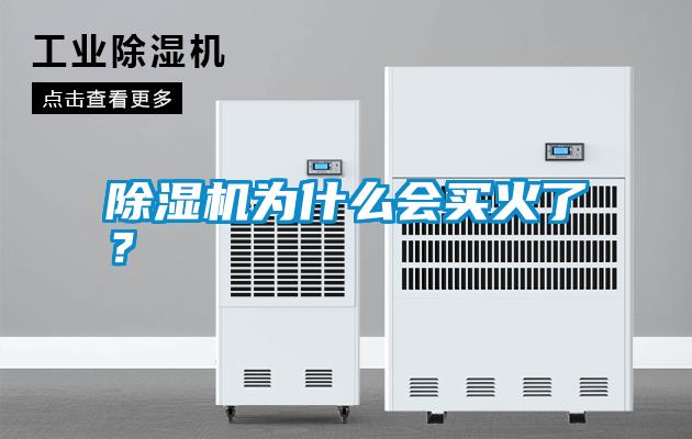 除濕機為什么會買火了？