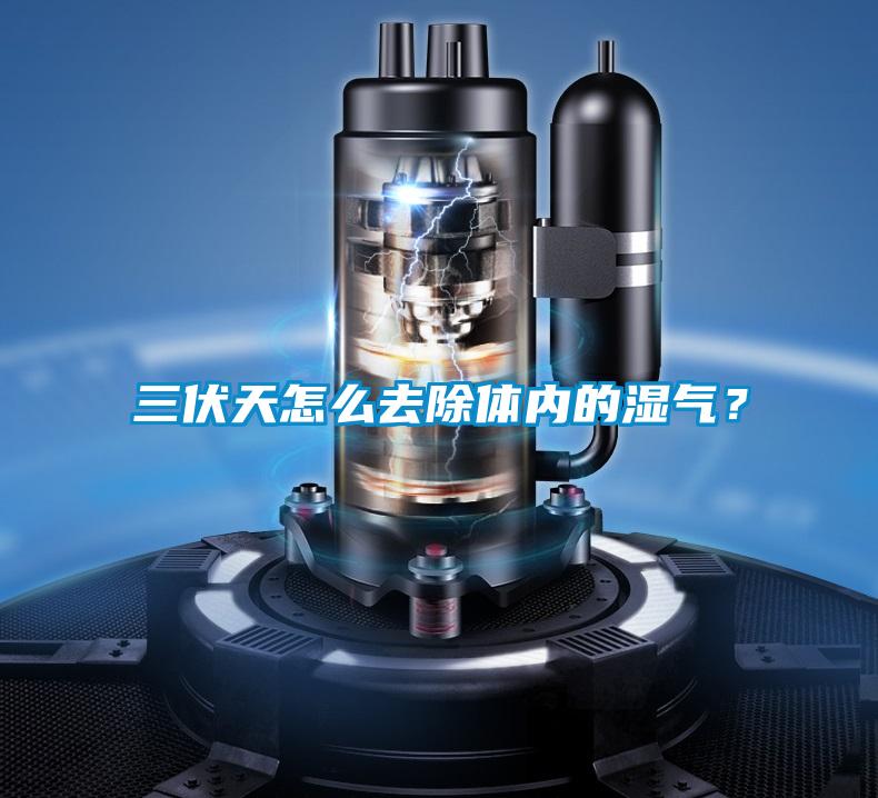 三伏天怎么去除體內(nèi)的濕氣？