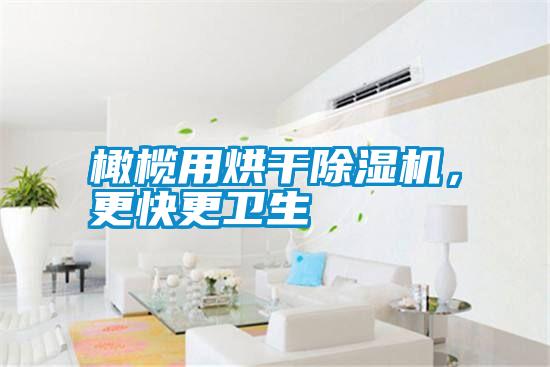 橄欖用烘干除濕機，更快更衛(wèi)生