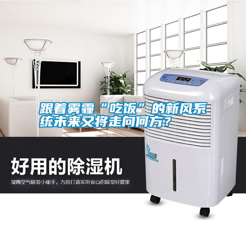 跟著霧霾“吃飯”的新風(fēng)系統(tǒng)未來(lái)又將走向何方？