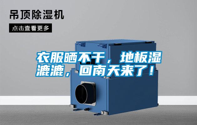 衣服曬不干，地板濕漉漉，回南天來(lái)了！
