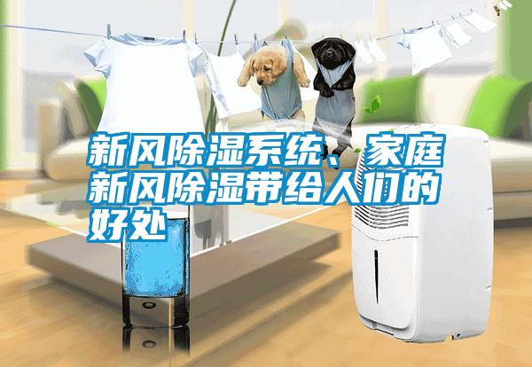 新風(fēng)除濕系統(tǒng)、家庭新風(fēng)除濕帶給人們的好處
