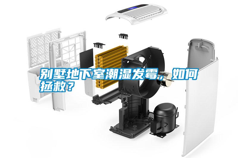 別墅地下室潮濕發(fā)霉，如何拯救？