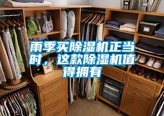 雨季買除濕機(jī)正當(dāng)時(shí)，這款除濕機(jī)值得擁有