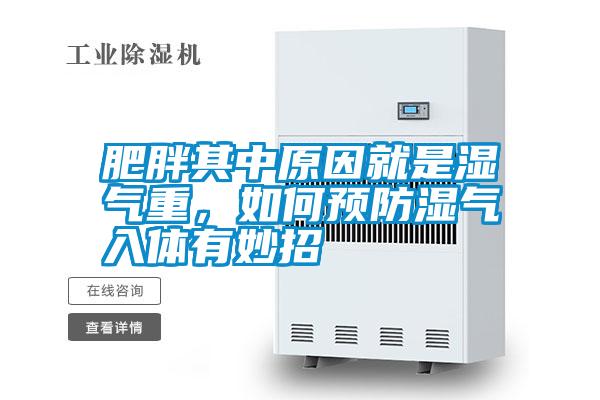 肥胖其中原因就是濕氣重，如何預防濕氣入體有妙招