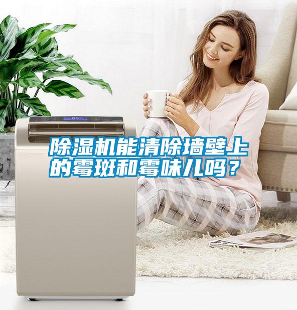 除濕機能清除墻壁上的霉斑和霉味兒嗎？