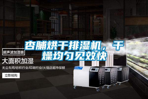 杏脯烘干排濕機，干燥均勻見效快
