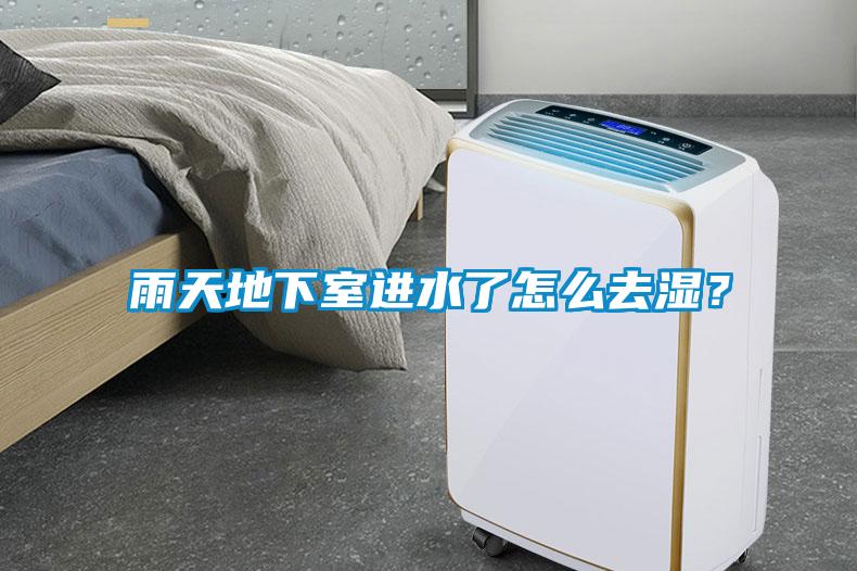 雨天地下室進(jìn)水了怎么去濕？