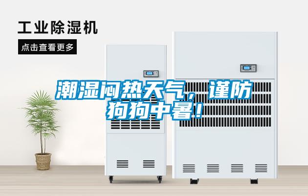 潮濕悶熱天氣，謹防狗狗中暑！