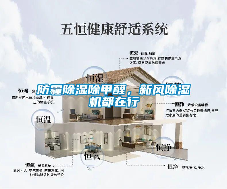 防霾除濕除甲醛，新風(fēng)除濕機(jī)都在行