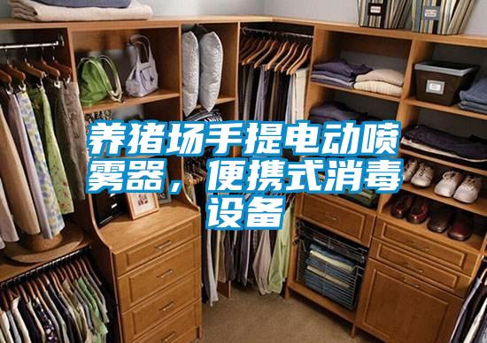 養(yǎng)豬場(chǎng)手提電動(dòng)噴霧器，便攜式消毒設(shè)備