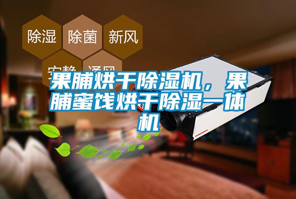 果脯烘干除濕機(jī)，果脯蜜餞烘干除濕一體機(jī)