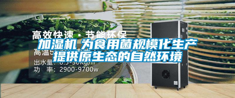 加濕機(jī)　為食用菌規(guī)?；a(chǎn)提供原生態(tài)的自然環(huán)境