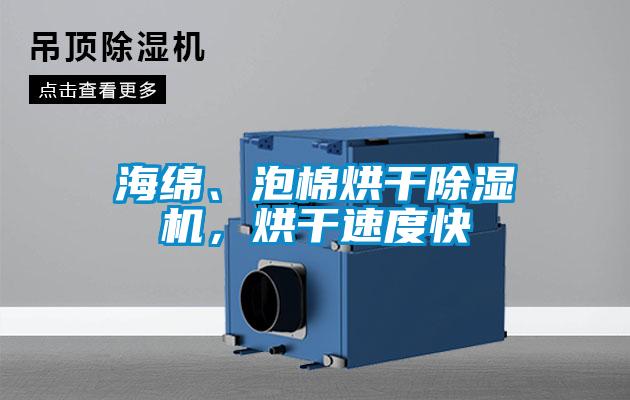 海綿、泡棉烘干除濕機(jī)，烘干速度快