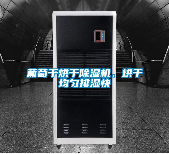 葡萄干烘干除濕機(jī)，烘干均勻排濕快