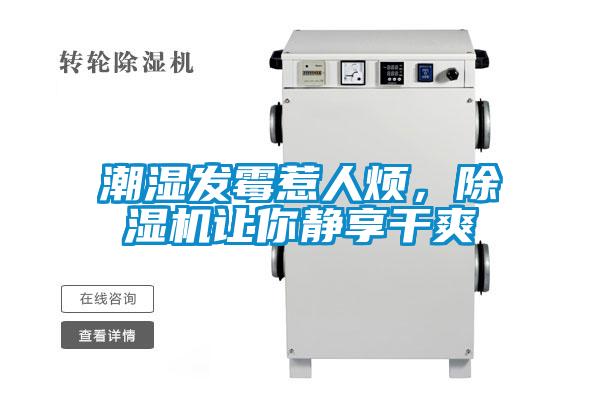 潮濕發(fā)霉惹人煩，除濕機讓你靜享干爽
