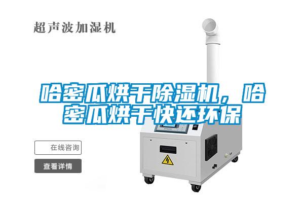 哈密瓜烘干除濕機(jī)，哈密瓜烘干快還環(huán)保