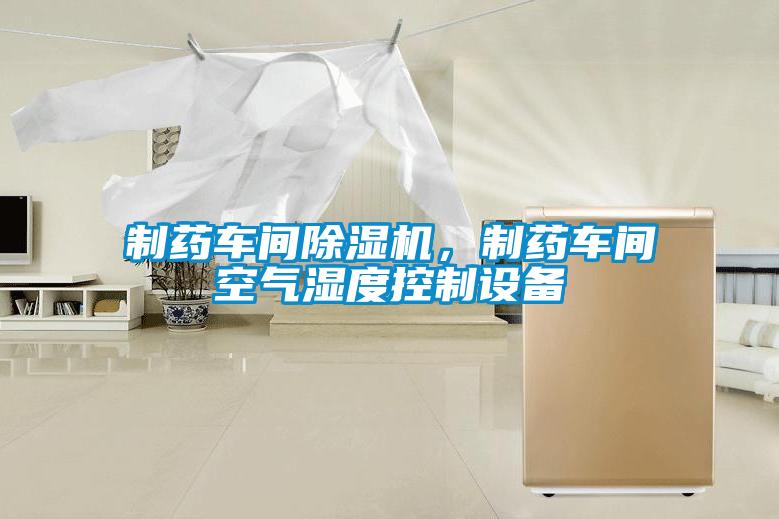 制藥車間除濕機(jī)，制藥車間空氣濕度控制設(shè)備