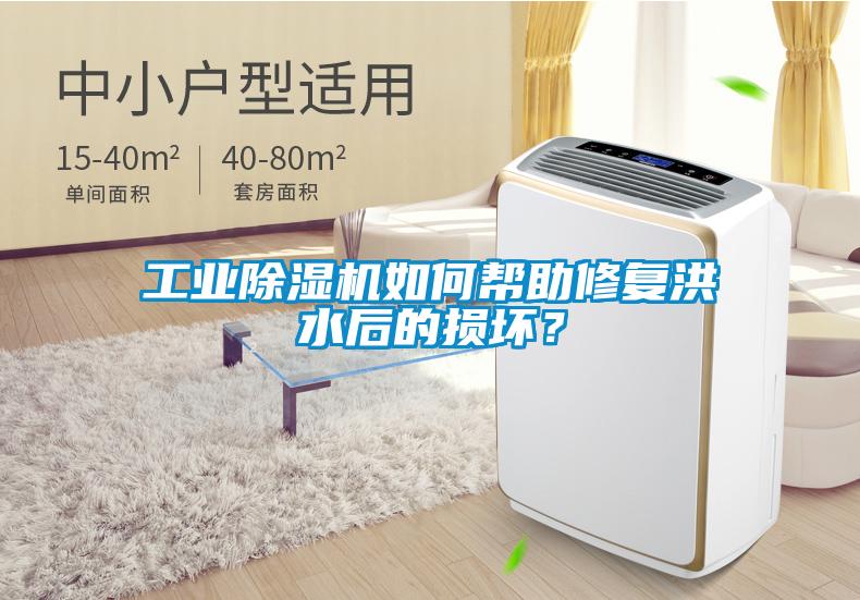 工業(yè)除濕機如何幫助修復(fù)洪水后的損壞？