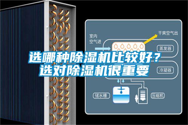 選哪種除濕機(jī)比較好？選對除濕機(jī)很重要